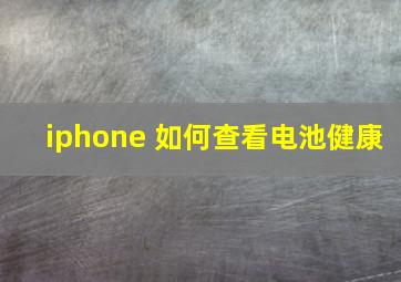 iphone 如何查看电池健康